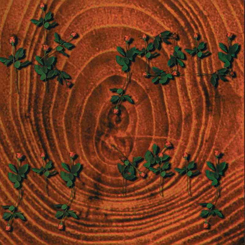 Van Dik Hout